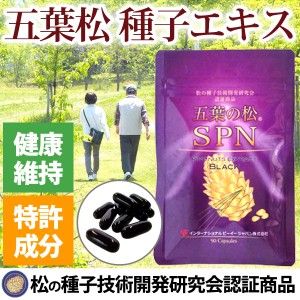 五葉松種子 五葉の松SPNブラック（33.3g（90粒））【日本三晶製薬】【送料無料】