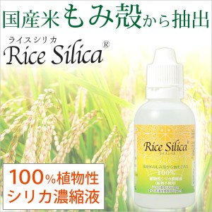 植物性シリカ濃縮液 ライスシリカ（50ml）【クレディ】□