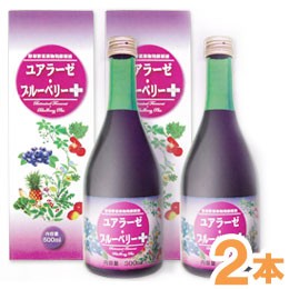 野草野菜果物発酵原液 ユアラーゼ・ブルーベリー＋（500ml）【2本セット】【ミヤトウ野草研究所】【送料無料】