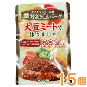 【お得なまとめ買い】デミグラスソース風野菜大豆バーグ（100g）【15個セット】【三育フーズ】□