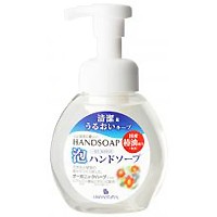 泡ハンドソープ ポンプ式（250ml）【リマナチュラル】【いつでもポイント10倍】