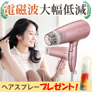 【ヘアスプレープレゼント】電磁波低減 ヘアケアドライヤー ピンク（ZD-750P）【ゼンケン】【いつでもポイント10倍】【送料無料】