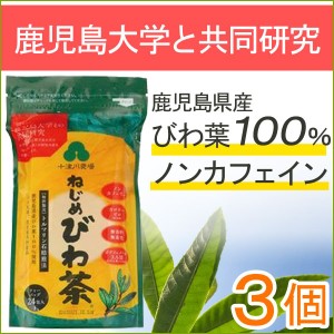 ねじめびわ茶24（48g（2g×24包））【3個セット】【十津川農場】