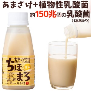 あまざけ＋乳酸菌『ちほまろ』玄米味（150g）【高千穂ムラたび】