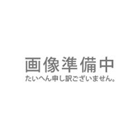 玉川温泉の岩盤浴ふとんDX 専用カバー セミダブル用【山甚物産】【直送につき代引・同梱不可】