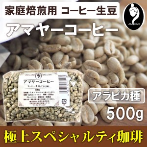 家庭焙煎用コーヒー生豆 アマヤーコーヒー（500g）【まるも】