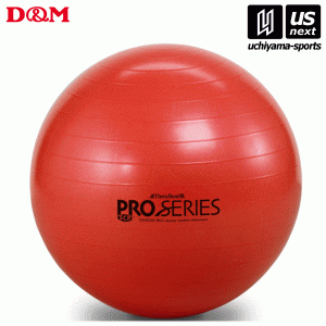 D＆M エクササイズボール 直径55cm #SDS-55 2024年継続モデル [取り寄せ] [自社](メール便不可)