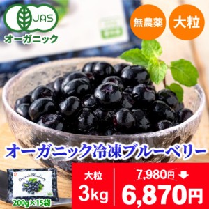 冷凍オーガニックブルーベリー3kg（200g×15パック） 無農薬 業務用 有機JAS認証 大容量 お徳用 メガ盛り 大粒 デューク フルーツ 果物 