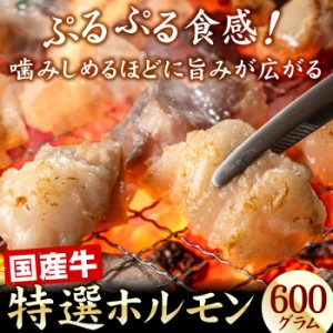 厳選国産牛　特選ホルモン（牛もつ） 600g（200g×3袋） モツ 小腸 冷凍 国産牛 お肉 牛肉 お取り寄せ 送料無料