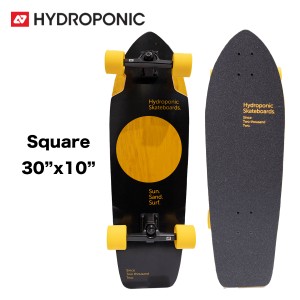 スケートボード ハイドロポニック Hydroponic コンプリート Surfskate Complete Square 30インチ Lunar Black Yellow スケボー