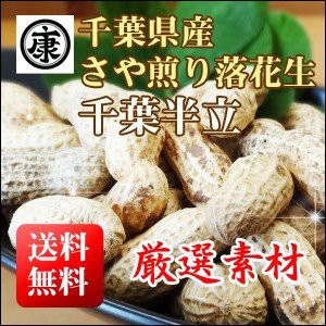 さや煎り落花生 千葉県産 令和5年産 千葉半立 殻付き 500g (250g×2袋) 原料トレース可　お中元　お歳暮　父の日