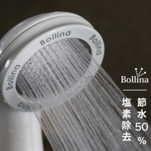 【送料無料】シャワーヘッド 塩素除去「Bollina Pulito（ボリーナプリート）」【マイクロナノバブル  節水 田中金属】