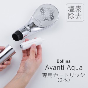 シャワーヘッド「Bollina（ボリーナ）」アヴァンティアクア用カートリッジ（2本入）[TK-5012]【浄水 浄水シャワー 塩素除去 田中金属製作