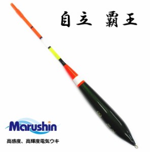 遠投ウキ マルシン漁具 自立 覇王 (はおう) 1.5号 / 棒ウキ メール便可