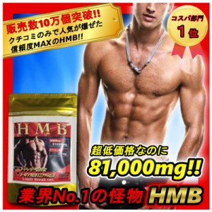 HMB業界1位のHMB配合量4050mg!!【メタルマッスル・ビルドマッスルの2袋弱分／ファイラマッスル・鍛神2袋弱分のHMB量】HMBサプリ　ハイパ