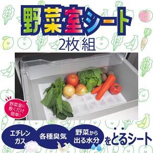 野菜室シート 2枚入‐冷蔵庫 野菜室用 臭気 エチレンガス 野菜水分 シリカゲル 活性炭 50×35cm