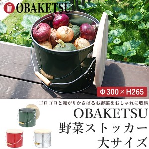 OBAKETSU 野菜ストッカー 大 日本製‐ヒノキ蓋 ふた付き フタ付き 野菜保存 消臭 防虫 腐敗 通気性 湿気がこもらない フック付き オバケ