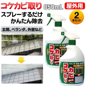 スプレー式 屋外用 コケカビ取り 850mL 2本 トーヤク‐水洗い不要 外壁 ベランダ 玄関 お墓 墓石 駐車場 コケ対策 カビ対策 コケカビ除去