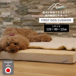 [Hakusan]愛犬が熟睡できるように試行錯誤して作ったファーストドッグクッション　Lサイズ