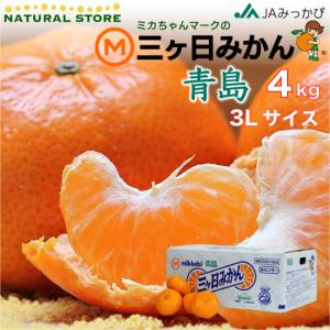 三ケ日 みかんの通販 Au Pay マーケット