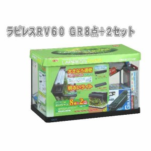 ジェックス　ラピレスRV60 GR8点+2セット(60Hz)