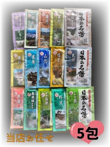 バスクリン 日本の名湯 15種からアソート5包 入浴剤 薬用 にごり湯 透明 炭酸 温泉  送料無料 ポイント消化 クーポン　500円ぽっきり　