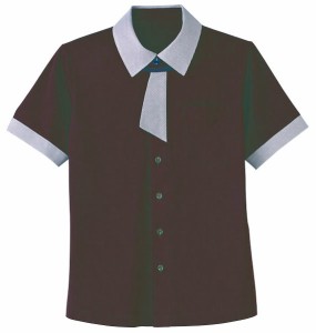 半袖ニットシャツ 男女兼用  HM2629-3 ダイチ  カーシーカシマ 