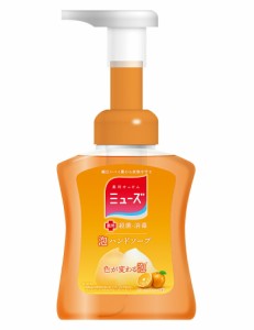 ミューズ ハンドソープ 泡 泡ミューズフルーティーフレッシュ本体 250ml 24個セット