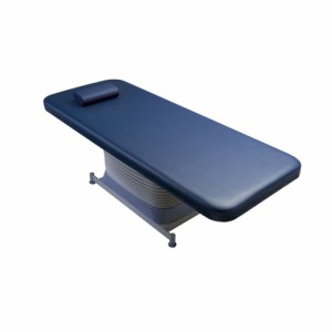 電動診察台CS用枕（S） EX-CS-MS（295X80MM） 1台 タカラベルモント 24-7294-10