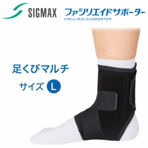 ☆セール！西表島産／赤翅系サキシマヒラタクワガタ♂66mm標本