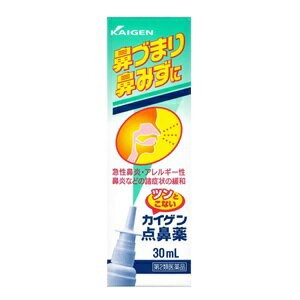 【第2類医薬品】【カイゲンファーマ】 カイゲン点鼻薬 30mL 