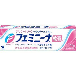 【第2類医薬品】【小林製薬】 フェミニーナ軟膏S 15g 