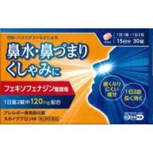 【第2類医薬品】【日野薬品工業】 スカイブブロンHI 30錠 ※セルフメディケーション税制対象品