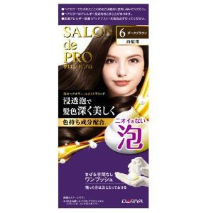 【ダリヤ】 SP 泡のヘアカラーエクストラリッチ6 1個 （医薬部外品） 【化粧品】