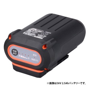 即日出荷 工進 KOSHIN バッテリーパック 36V 5.0Ah PA-413 スマートコーシン