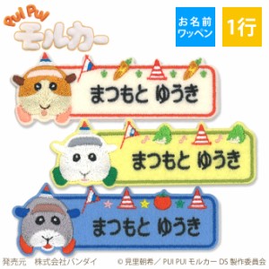 お名前ワッペン PUI PUI モルカー DRIVING SCHOOL キャラクター 1行 3枚セット ネームワッペン アイロン 入園 刺繍 プレゼント OR