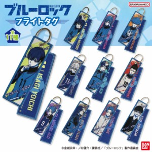 ブルーロック フライトタグ BLUELOCK 男の子 女の子 かわいい かっこいい アニメ キャラクターグッズ バンダイ BANDAI 金城宗幸 ノ村優介