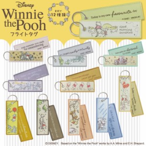 プーさん フライトタグ WinniethePooh ディズニー キャラクター グッズ プレゼント 