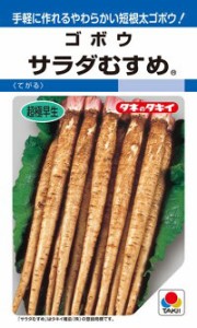 タキイ種苗 ゴボウ サラダむすめ(てがる)GF