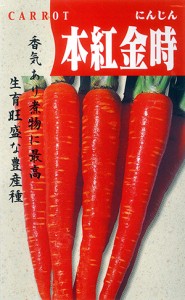 ナント種苗 ニンジン 本紅金時人参(ほんべにきんとき)小袋