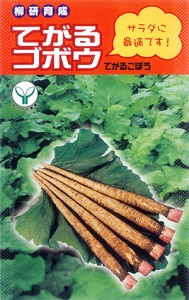 ナント種苗 ゴボウ てがる 小袋