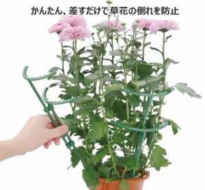 【送料無料】丈の低い草花の倒れ防止　美しく見せます　露地植え　鉢植え　プランターにも「花ささえ22本組」