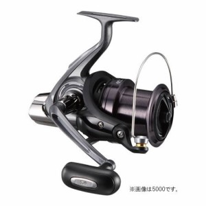 ダイワ(DAIWA) スピニングリール(投げ・遠投) 17 クロスキャスト 4000 (2017モデル)