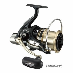 ダイワ(DAIWA) スピニングリール(投げ・遠投) 17 WINDCAST 4500 (2017モデル)