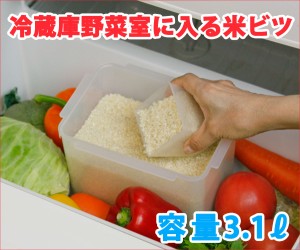 冷蔵庫野菜室に入る米びつ　　自社製造 日本製 食品保管 貯蔵 お米 こめ 冷蔵庫保管 鮮度 米ケース 米収納 密閉容器 計量カップ付 虫防止