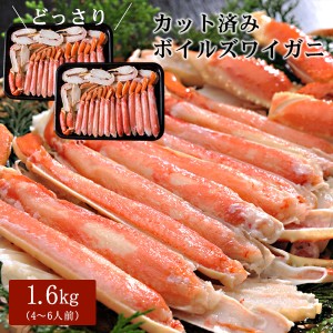 ボイルズワイガニ カット済み1.6kg（4〜6人前） ハーフポーション かに カニ 蟹 送料無料（北海道・沖縄を除く）