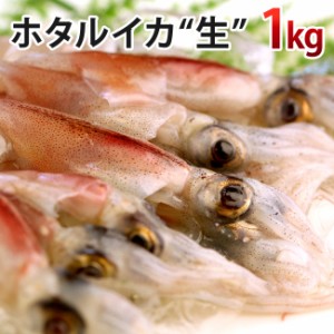 ホタルイカ（生冷凍ほたるいか）約1kg（約250g×4パック） 生 生食 刺身 山陰沖産 送料無料（北海道・沖縄を除く）