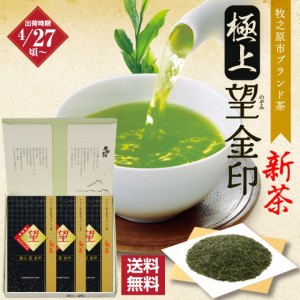 静岡新茶 2024 深蒸し新茶 牧之原ブランド茶 極上 望 金印 100g入×3袋箱入り ギフト 化粧箱 送料無料 緑茶 お茶 高級茶 上級茶 被覆茶 