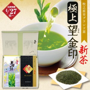 静岡新茶 2024 深蒸し新茶 ギフト 化粧箱 緑茶 お茶 高級茶 上級茶 被覆茶 静岡茶 牧之原ブランド茶 極上・極上望金印 100ｇ×2袋箱入り 