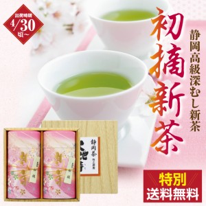 静岡新茶 2024 ギフト 初摘 新茶 さくら缶 300g(150g ×2本箱入) 送料無料 予約 ギフト お茶 緑茶 高級茶 上級茶 日本茶 静岡茶 国産 牧